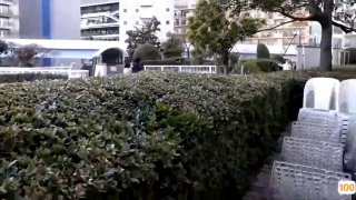 国产日韩精品一区二区三区线观看⭕❌欧美精品A片XXX⭕❌欧美性猛交XXXX乱大交极品-无码av电影在线观看不卡